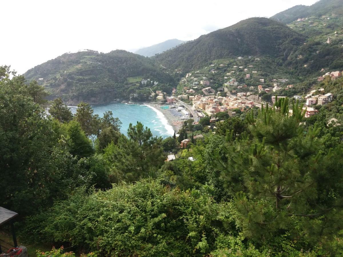 Апартаменти Casa Cinzia Bonassola Cinque Terre Екстер'єр фото